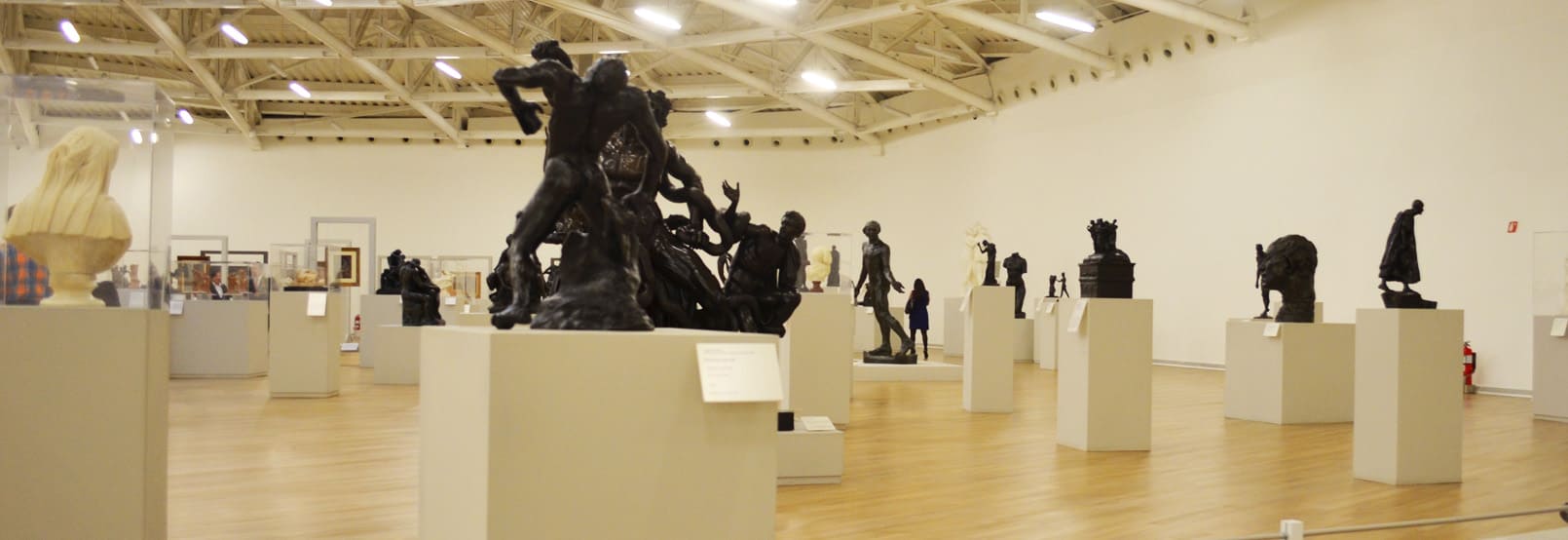 museos de ciudad de mexico